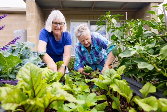 Two Sirovilla Residents working in the vegetable garden